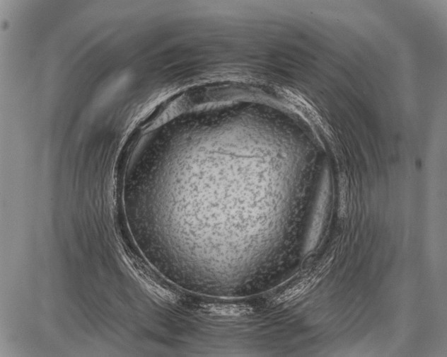 X0000087690439200705181758