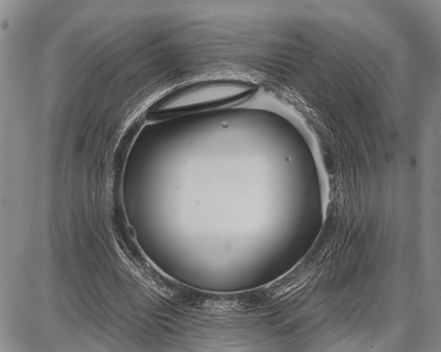 X0000087690440200705181758