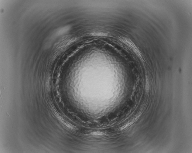 X0000087690441200705181758