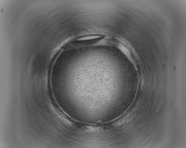 X0000087690442200705181759