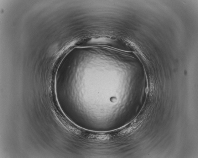 X0000087690443200705181759