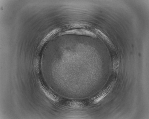 X0000087690444200705181759