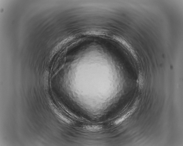 X0000087690445200705181759