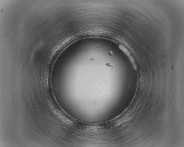 X0000087690446200705181759