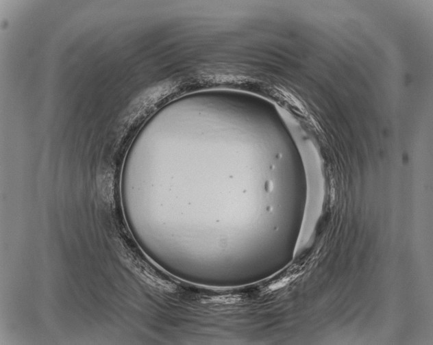 X0000087690447200705181759