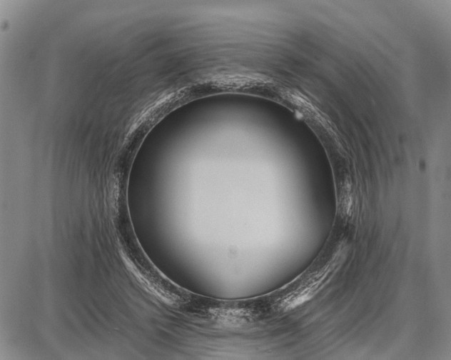 X0000087690448200705181759