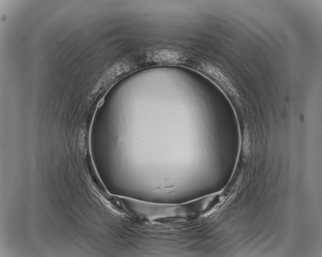 X0000087690449200705181759