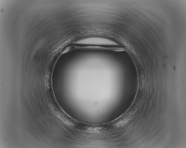 X0000087690450200705181759