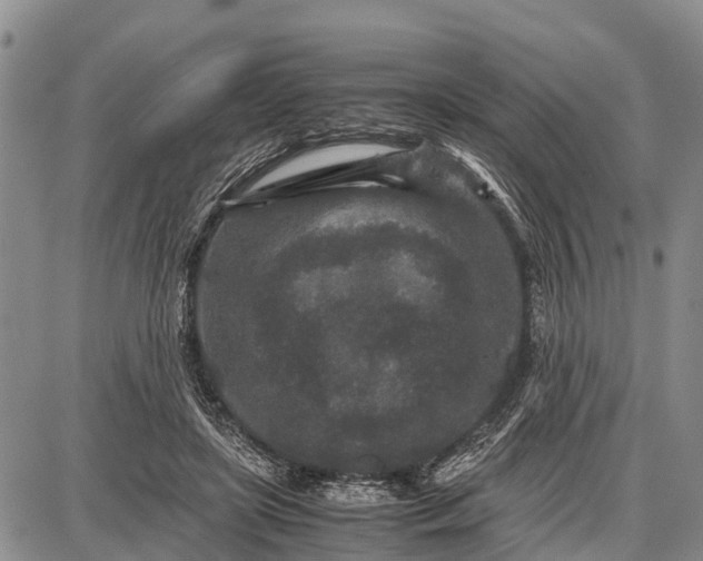 X0000087690451200705181759