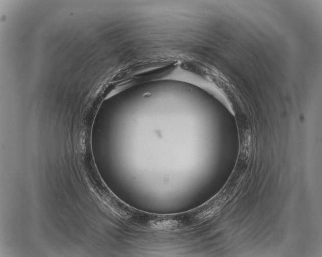 X0000087690452200705181759