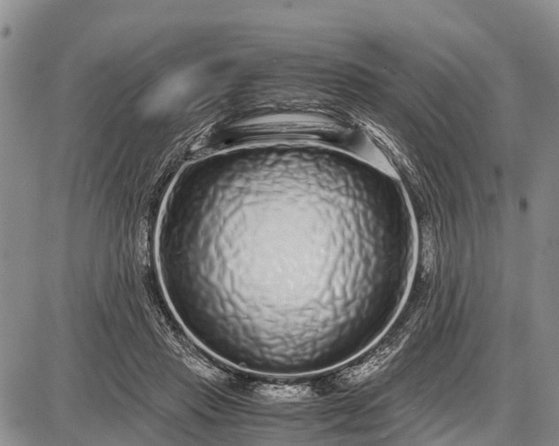 X0000087690453200705181759