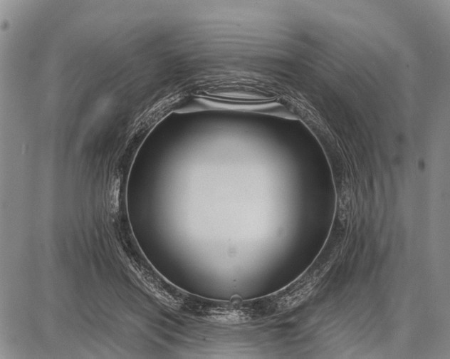 X0000087690454200705181759