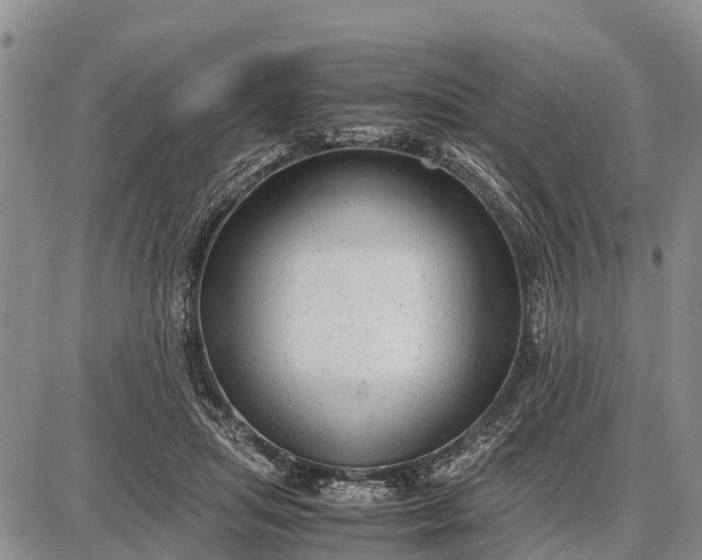 X0000087690455200705181759