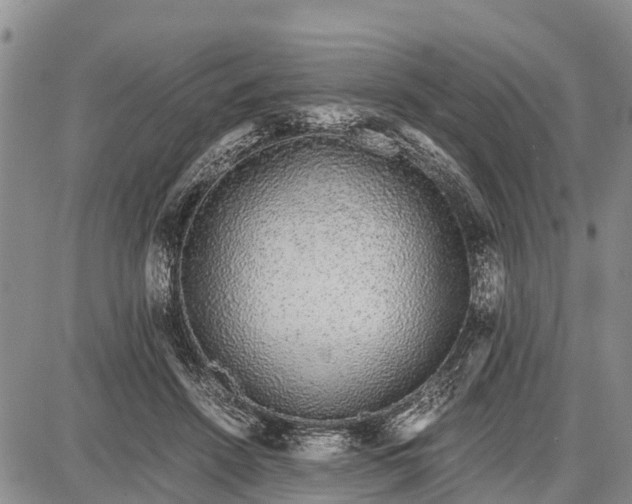 X0000087690456200705181759