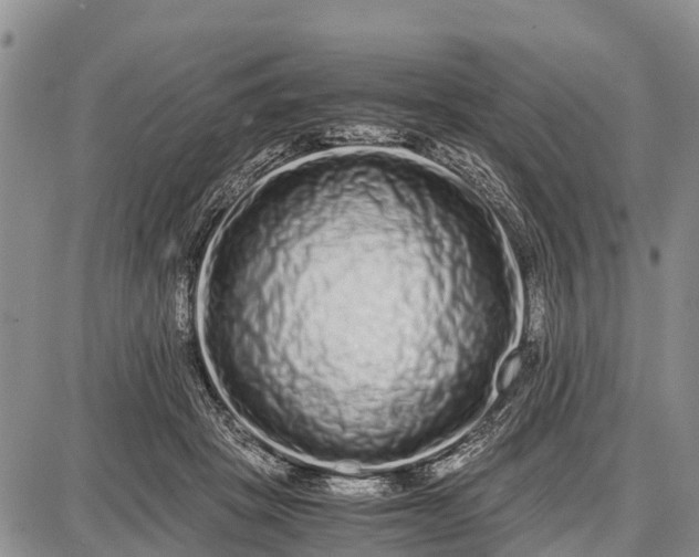 X0000087690457200705181759