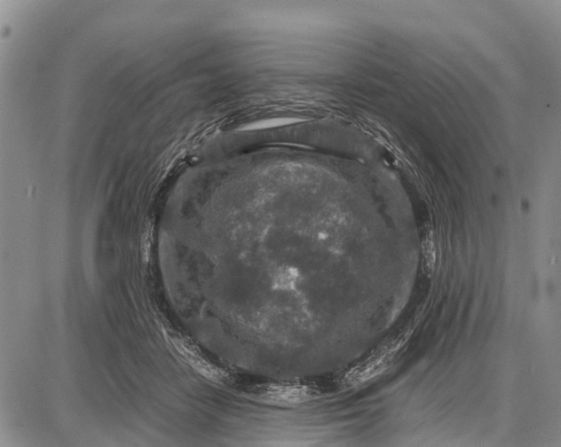 X0000087690458200705181759