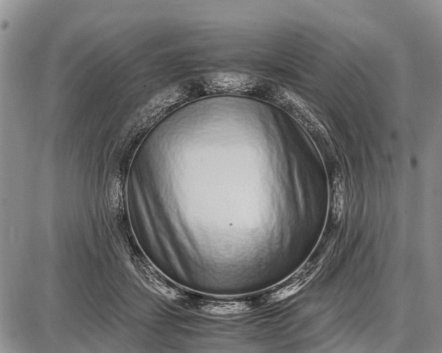 X0000087690459200705181759