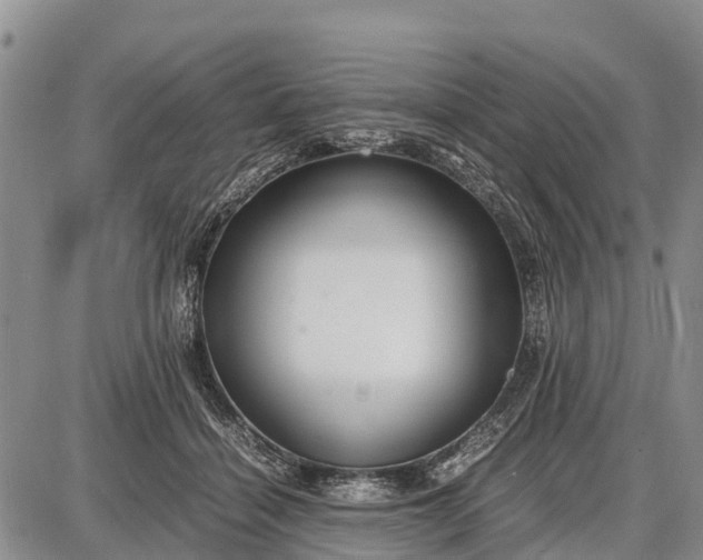 X0000087690460200705181759