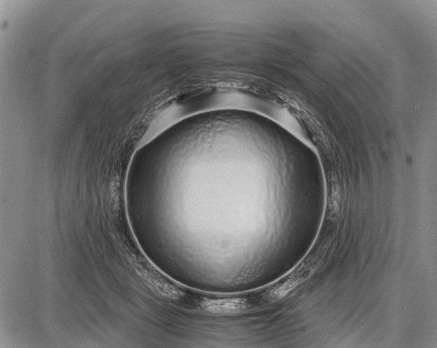 X0000087690461200705181759