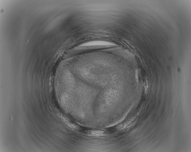 X0000087690462200705181759