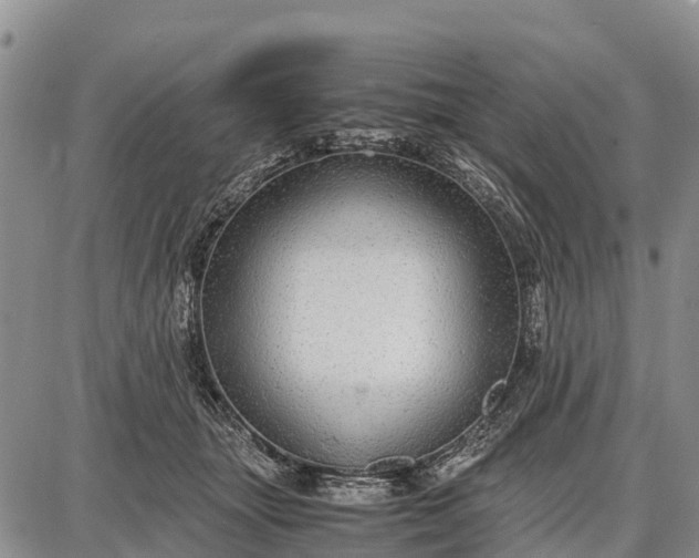 X0000087690463200705181759