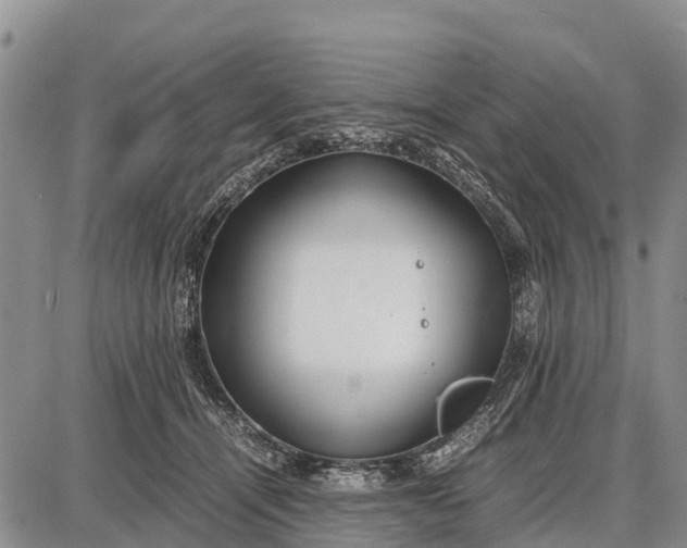 X0000087690464200705181759