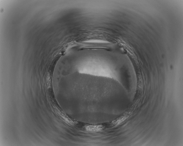 X0000087690465200705181759