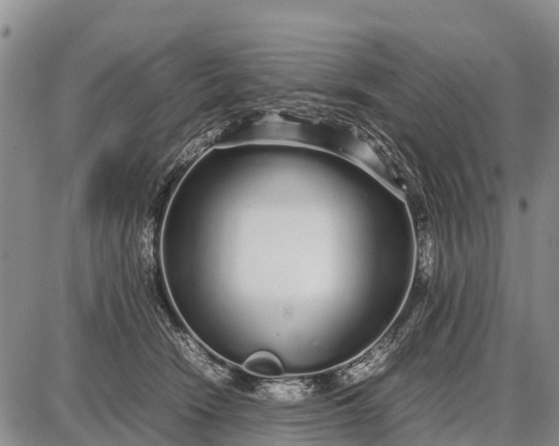 X0000087690466200705181759