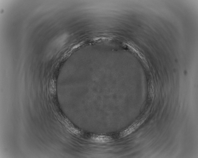 X0000087690467200705181759