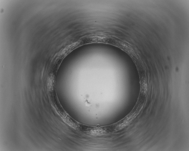 X0000087690468200705181759