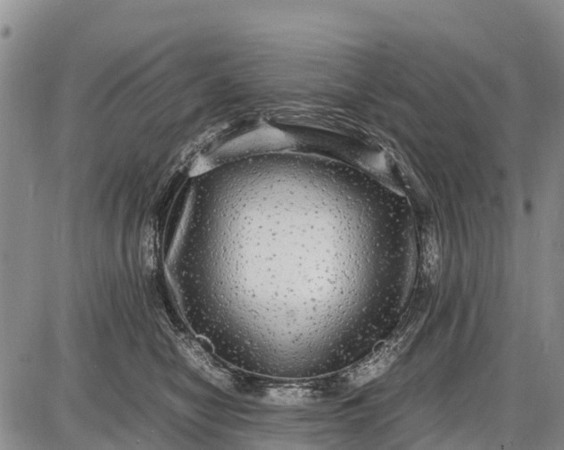 X0000087690470200705181759