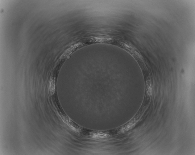 X0000087690471200705181759