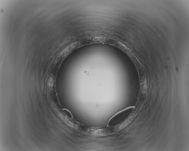 X0000087690472200705181759