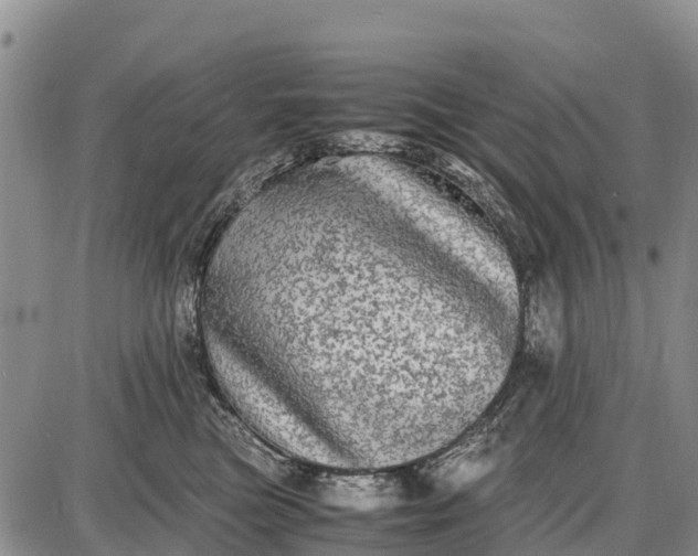 X0000087690473200705181759