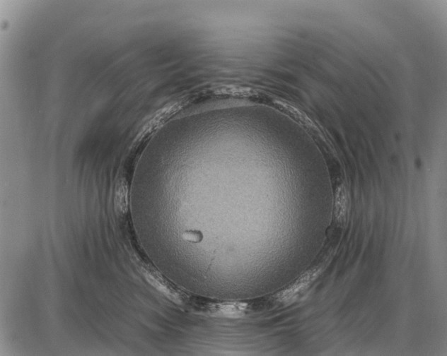 X0000087690474200705181759