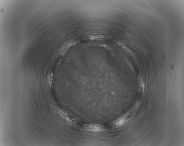 X0000087690475200705181759