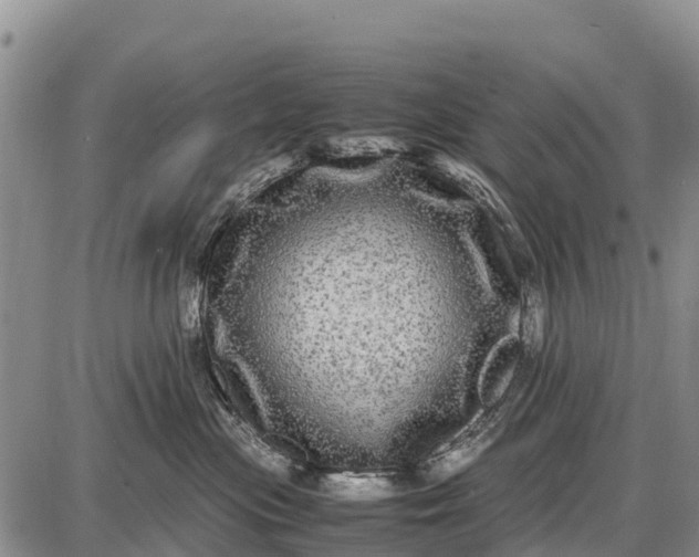 X0000087690477200705181759