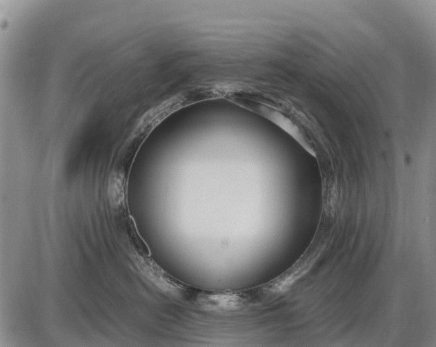 X0000087690478200705181759