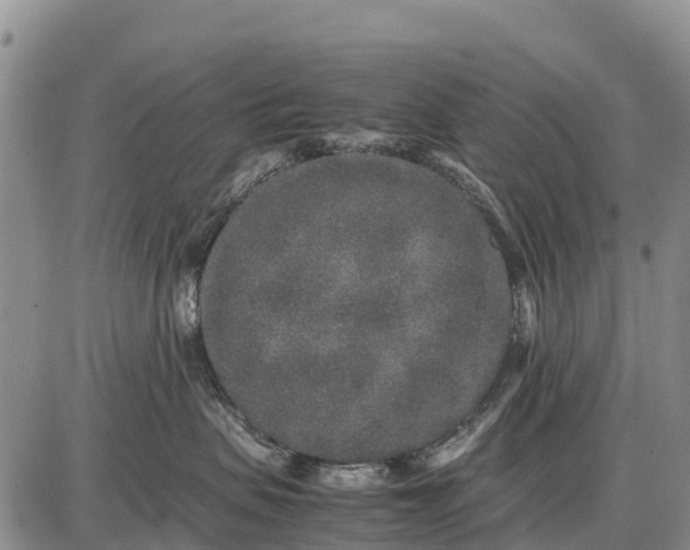 X0000087690479200705181759