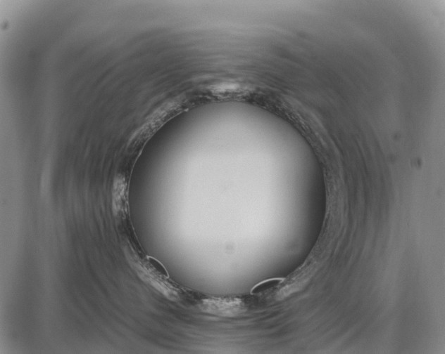 X0000087690480200705181759