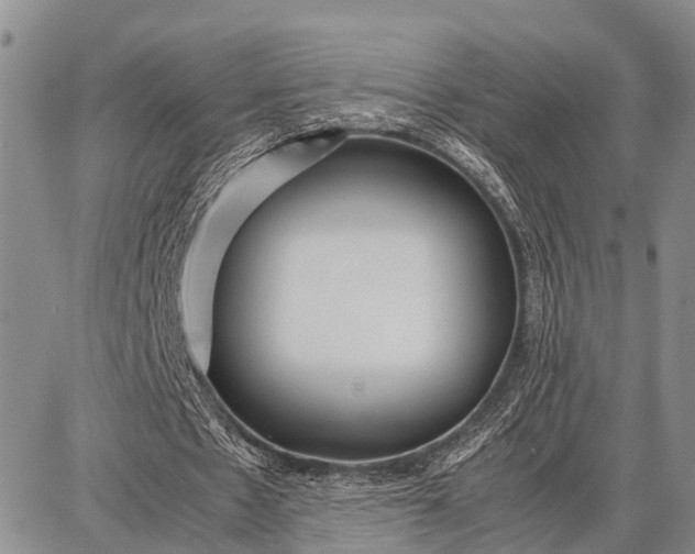 X0000087690481200705181758