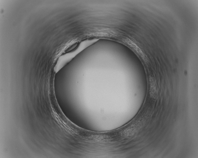 X0000087690482200705181758