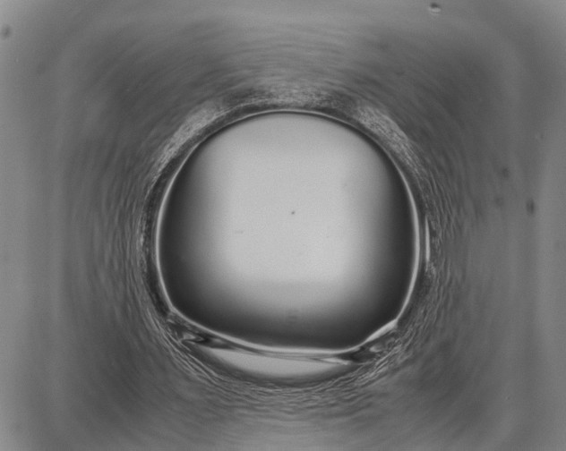 X0000087690483200705181758