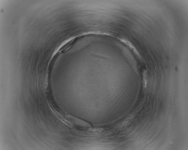 X0000087690484200705181758