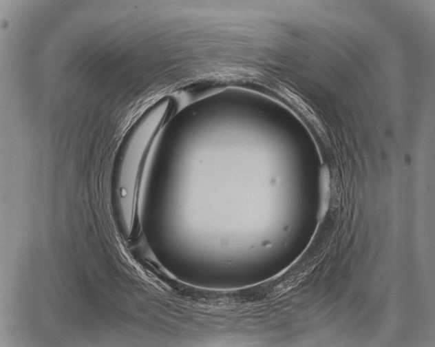 X0000087690485200705181758