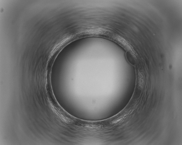 X0000087690486200705181758