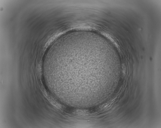 X0000087690487200705181758