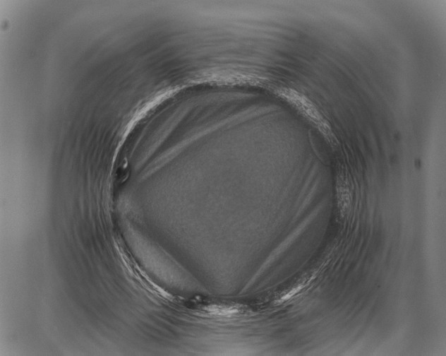 X0000087690488200705181758