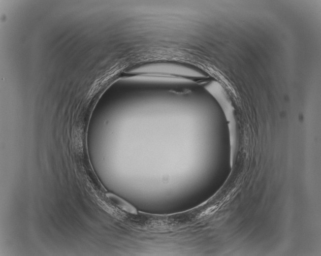 X0000087690489200705181758