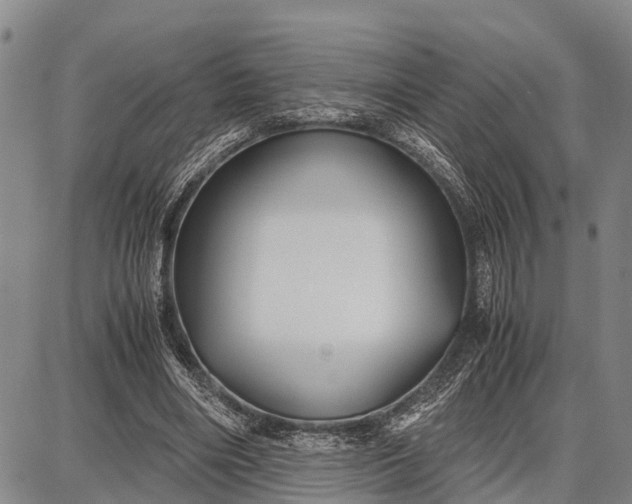 X0000087690490200705181758